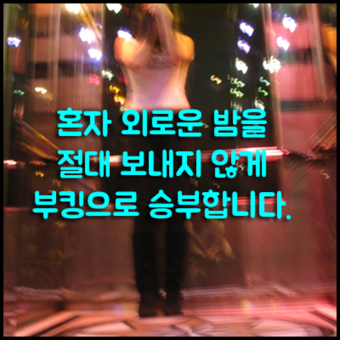 강남 나이트 혼자