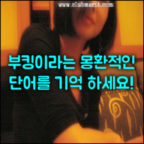 서울나이트a 강호동@